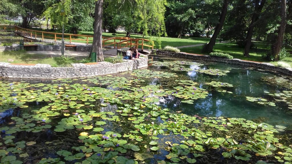 Margareta Vendeghaz Hotell Miskolc Exteriör bild